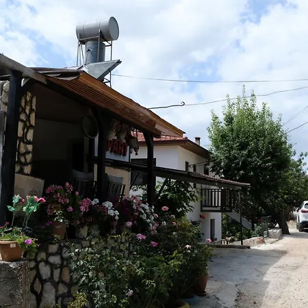 Ecenaz Kaş