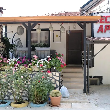 Ecenaz Kaş