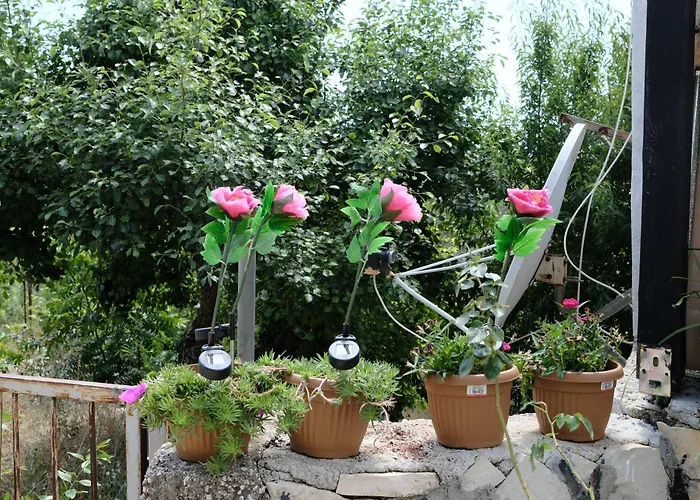 Dom wakacyjny Ecenaz