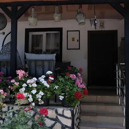 Holiday home Ecenaz *